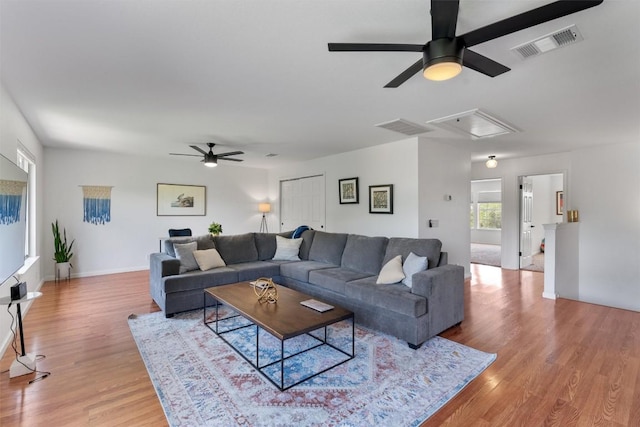 1105 Red Ranch Cir, Cedar Park, TX 78613 - living room featuring ceiling fan, attic access, and light wood-style floors