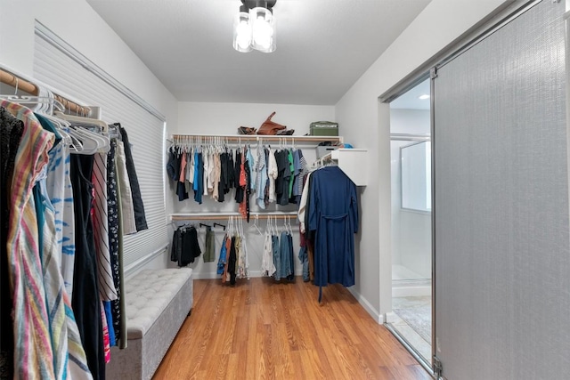 1105 Red Ranch Cir, Cedar Park, TX 78613 - spacious closet featuring wood finished floors