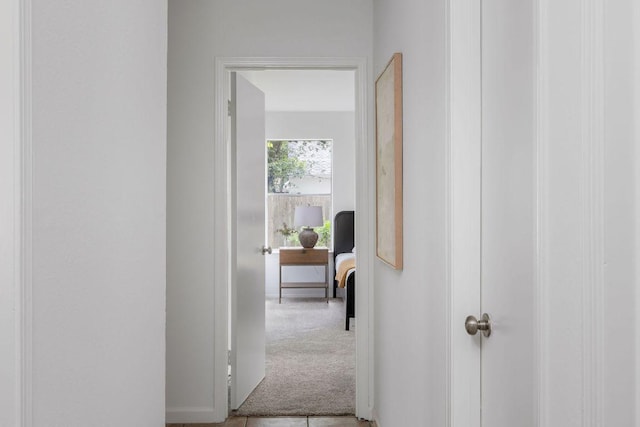 905 Minturn Ln, Austin, TX 78748 - hallway with carpet