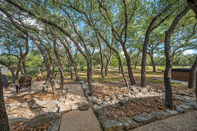 216 Country Rd, Georgetown, TX 78628 - view of yard featuring view of scattered trees
