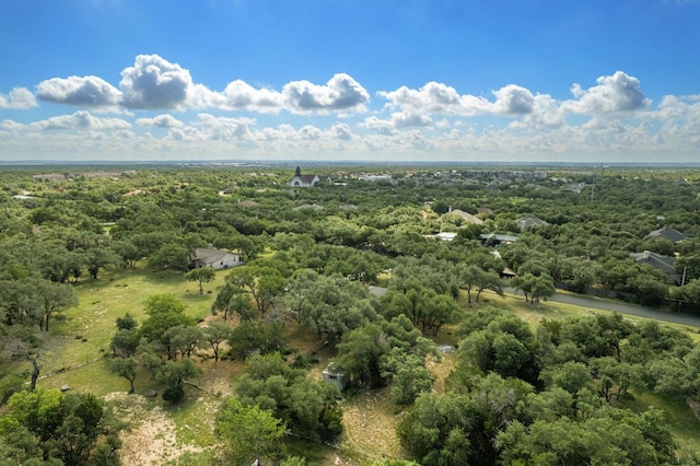 216 Country Rd, Georgetown, TX 78628 - bird's eye view of a forest