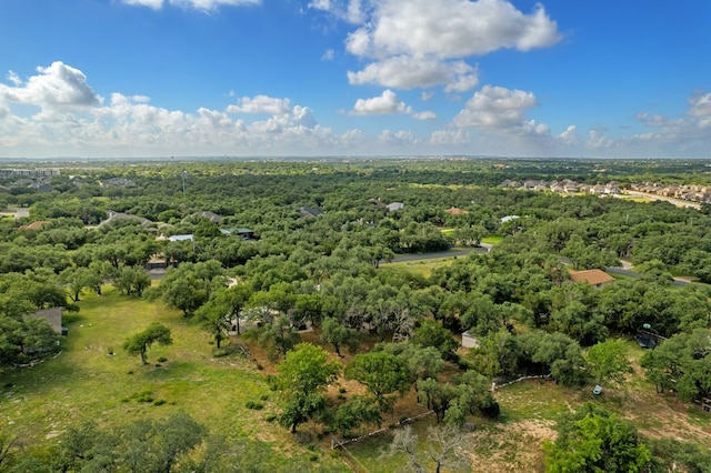 216 Country Rd, Georgetown, TX 78628 - aerial view of a forest