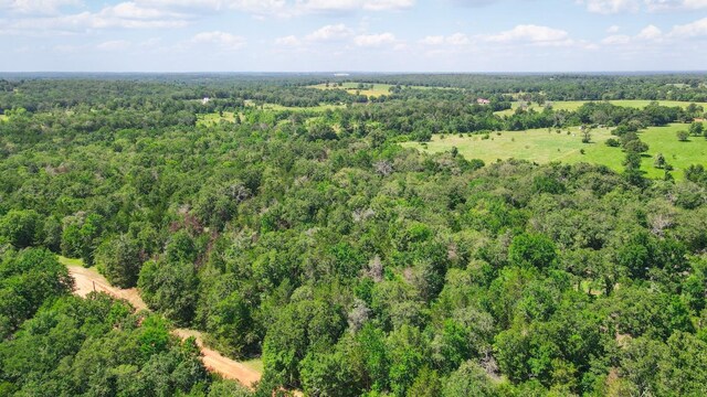 TBD(+/-2.5Acres) Cedar Creek, Caldwell, TX 77836 - photo 6
