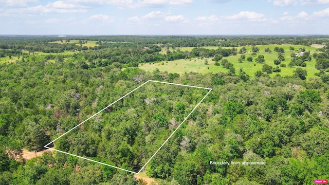 TBD(+/-2.5Acres) Cedar Creek, Caldwell, TX 77836 - photo 1