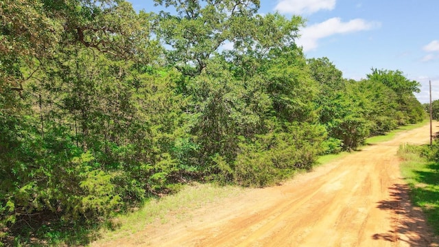 TBD(+/-2.5Acres) Cedar Creek, Caldwell, TX 77836 - photo 2