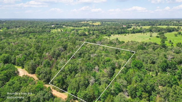 TBD(+/-2.5Acres) Cedar Creek, Caldwell, TX 77836 - photo 3