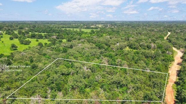 TBD(+/-2.5Acres) Cedar Creek, Caldwell, TX 77836 - photo 4