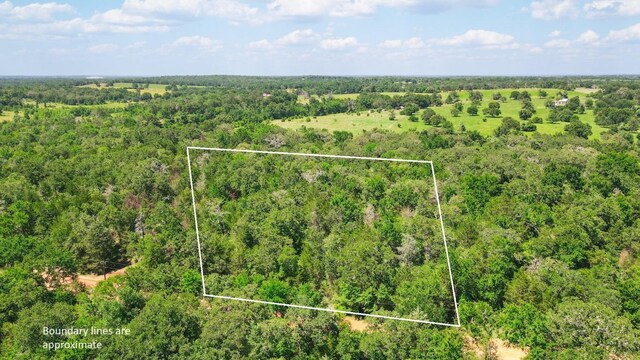 TBD(+/-2.5Acres) Cedar Creek, Caldwell, TX 77836 - photo 5