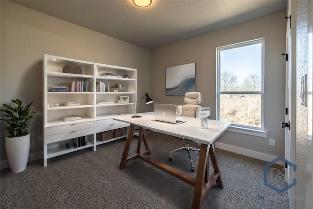 1720 Cannon St, Gonzales, TX 78629 - home office with dark carpet