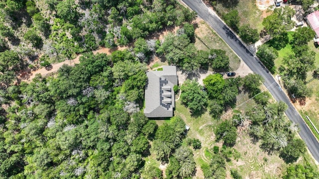 230 Hoffman Rd, Bastrop, TX 78602 - bird's eye view
