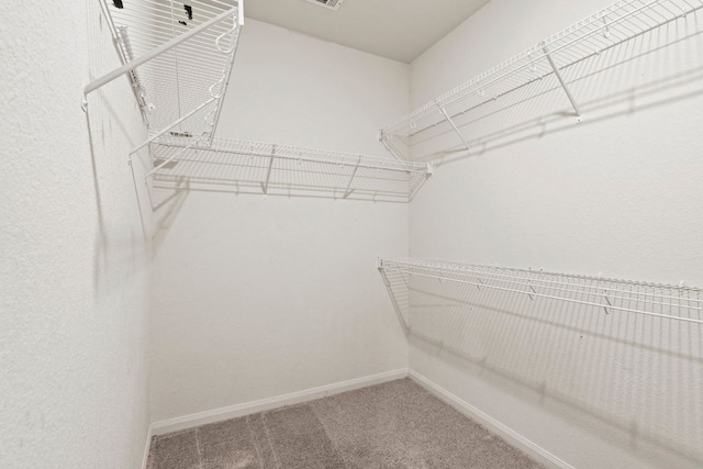 1698 Violet Ln, Kyle, TX 78640 - spacious closet featuring carpet flooring
