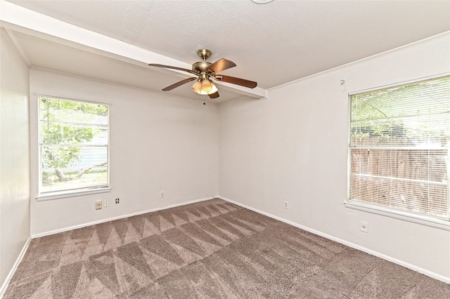 2110 Bristol Dr, Austin, TX 78723 - photo 13