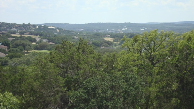 20805 Bonanza St, Lago Vista, TX 78645 - photo 1