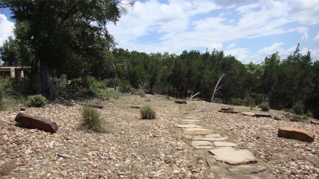20805 Bonanza St, Lago Vista, TX 78645 - photo 5