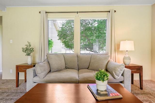 230 Lido St Unit I-2, Lakeway, TX 78734 - carpeted living area featuring ornamental molding and baseboards