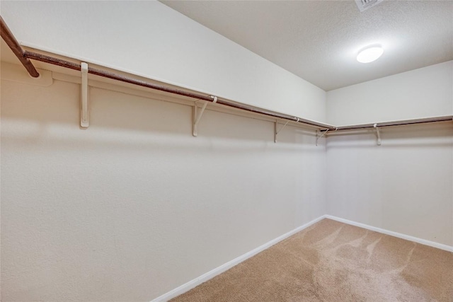 11605 Carbrook Rd, Manor, TX 78653 - photo 11