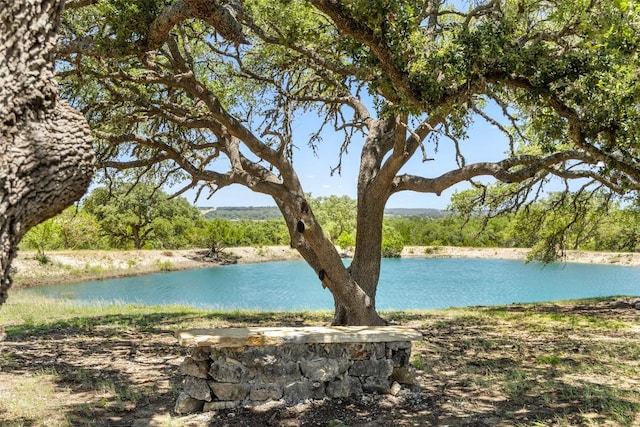 938 Lindeman Ln Unit 3, Blanco, TX 78606