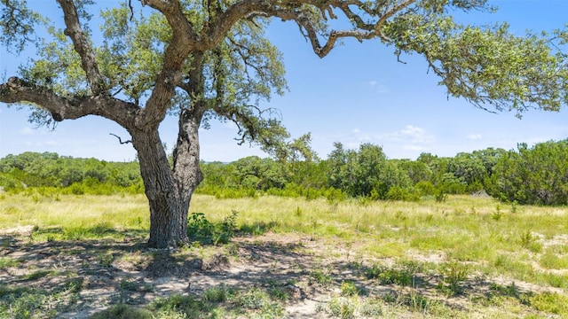 938 Lindeman Ln Unit 3, Blanco, TX 78606
