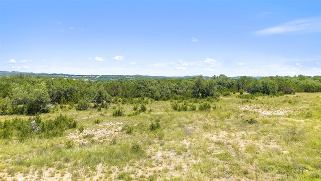 938 Lindeman Ln Unit 3, Blanco, TX 78606