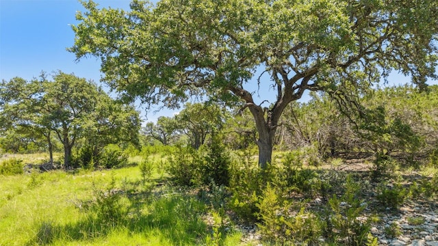938 Lindeman Ln Unit 3, Blanco, TX 78606