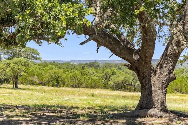 938 Lindeman Ln Unit 3, Blanco, TX 78606