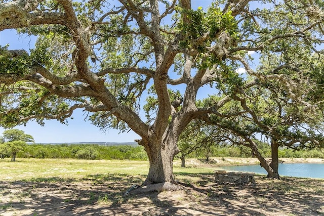 938 Lindeman Ln Unit 3, Blanco, TX 78606