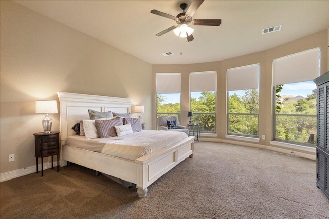 2308 First Vw, Leander, TX 78641 - bedroom with carpet flooring and ceiling fan