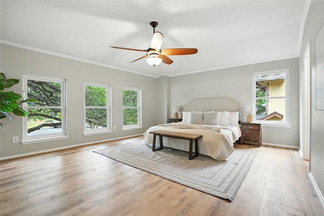 11003 Watchful Fox Dr, Austin, TX 78748 - bedroom featuring multiple windows, light wood-type flooring, ornamental molding, and a ceiling fan