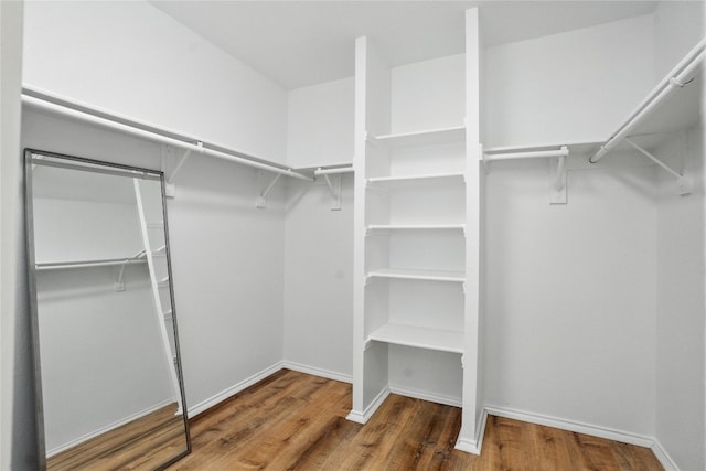 11003 Watchful Fox Dr, Austin, TX 78748 - photo 22