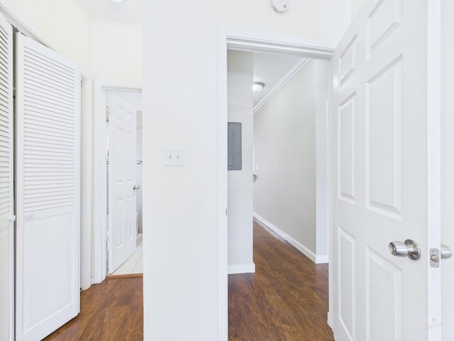 2300 Leon St Unit 205, Austin, TX 78705 - hallway with wood finished floors, ornamental molding, and electric panel