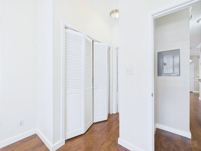 2300 Leon St Unit 205, Austin, TX 78705 - corridor with dark wood-type flooring and electric panel