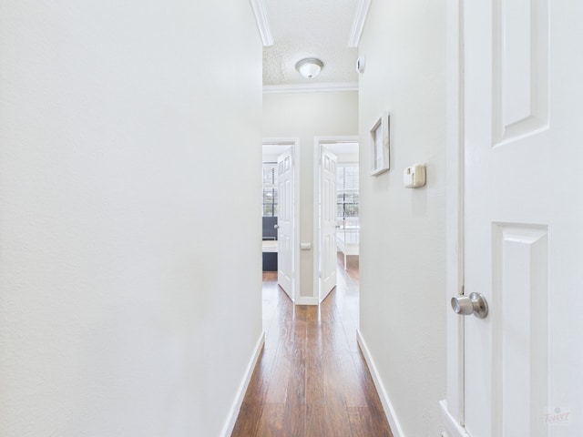 2300 Leon St Unit 205, Austin, TX 78705 - corridor featuring crown molding, dark wood-style floors, and a textured ceiling