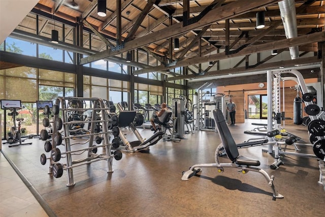 202 Hazy Hills Loop, Dripping Springs, TX 78620 - gym with high vaulted ceiling, healthy amount of natural light, and a wall of windows