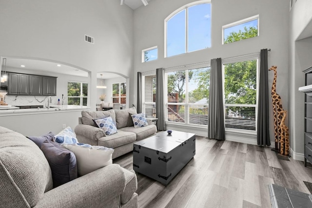1901 Phantom Horse, Leander, TX 78641 - photo 6
