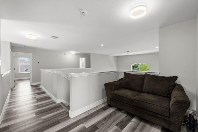 1901 Phantom Horse, Leander, TX 78641 - living area featuring wood finished floors and plenty of natural light