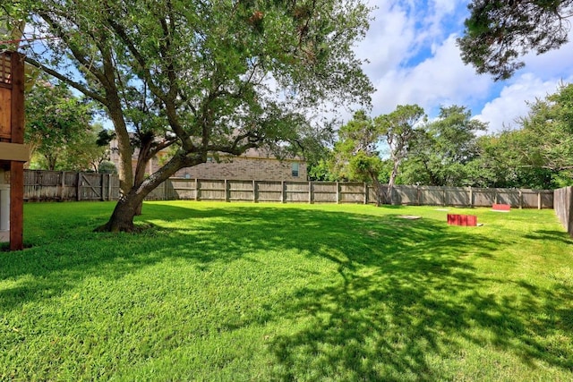 1901 Phantom Horse, Leander, TX 78641 - view of fenced backyard