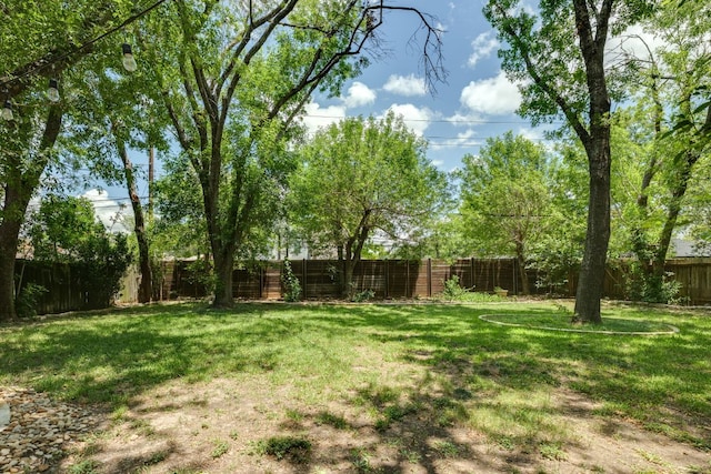 506 Applewood Dr, Pflugerville, TX 78660 - view of fenced backyard