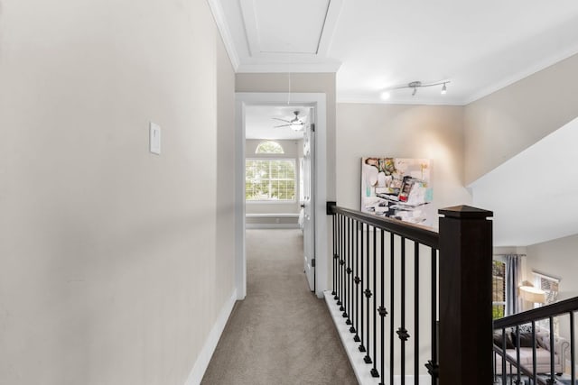 10919 Sierra Oaks, Austin, TX 78759 - photo 23