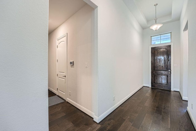 6716 Calabria Dr, Round Rock, TX 78665 - entryway featuring dark wood-type flooring and a tray ceiling