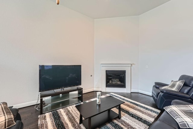 6716 Calabria Dr, Round Rock, TX 78665 - living area with wood finished floors and a glass covered fireplace