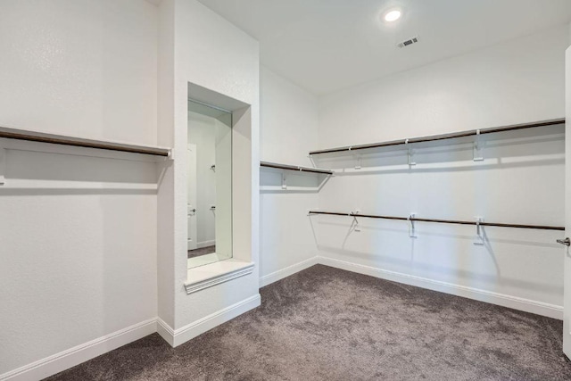 6716 Calabria Dr, Round Rock, TX 78665 - spacious closet featuring dark colored carpet