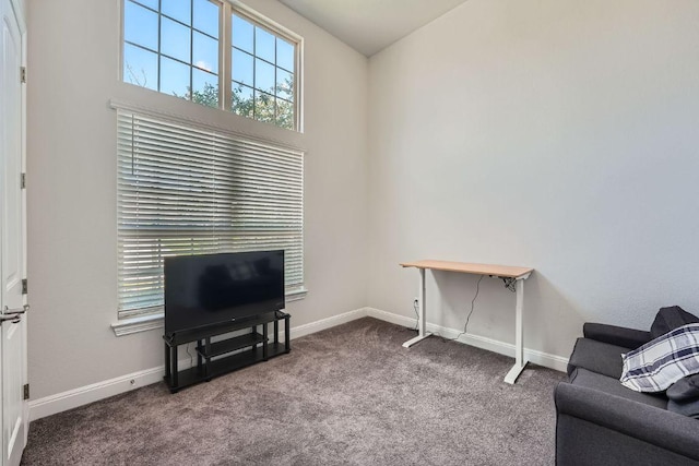 6716 Calabria Dr, Round Rock, TX 78665 - living area featuring plenty of natural light and carpet