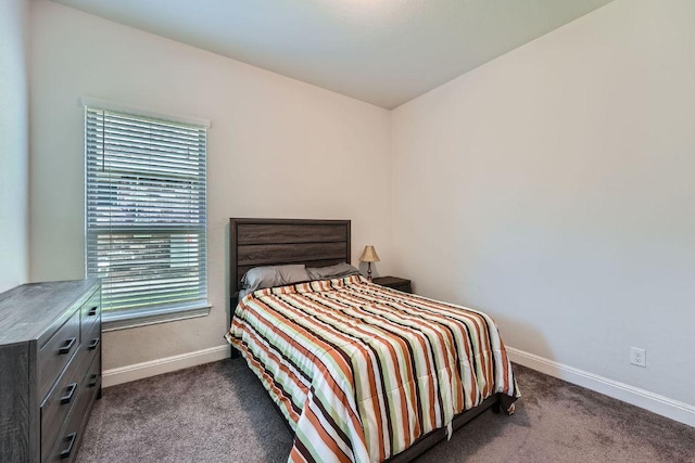 6716 Calabria Dr, Round Rock, TX 78665 - carpeted bedroom with multiple windows