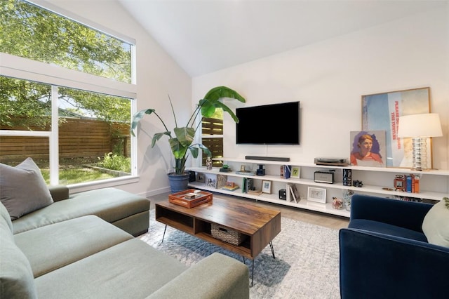 301 W Stassney Ln Unit 11, Austin, TX 78745 - living room with high vaulted ceiling