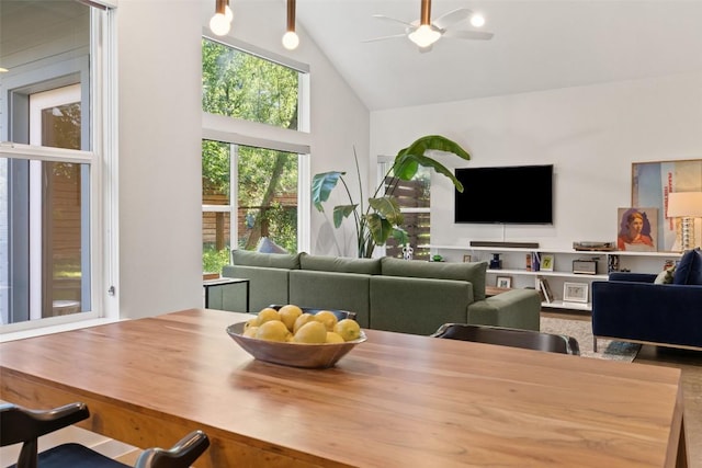 301 W Stassney Ln Unit 11, Austin, TX 78745 - dining space with a ceiling fan and high vaulted ceiling