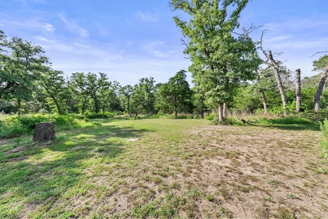870 Sand Hills Rd, Red Rock, TX 78662 - photo 25