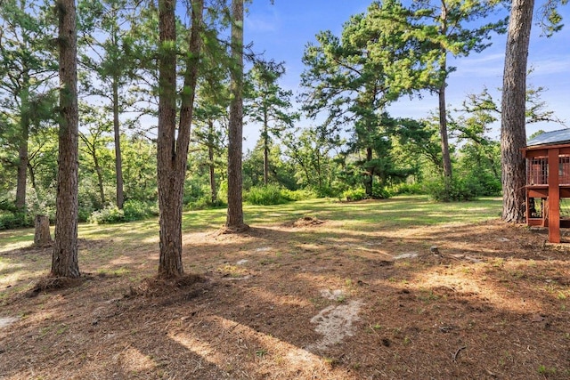 870 Sand Hills Rd, Red Rock, TX 78662 - photo 29