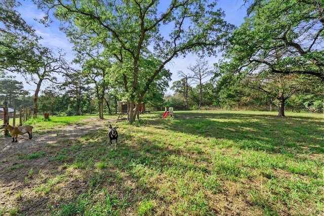 870 Sand Hills Rd, Red Rock, TX 78662 - photo 32