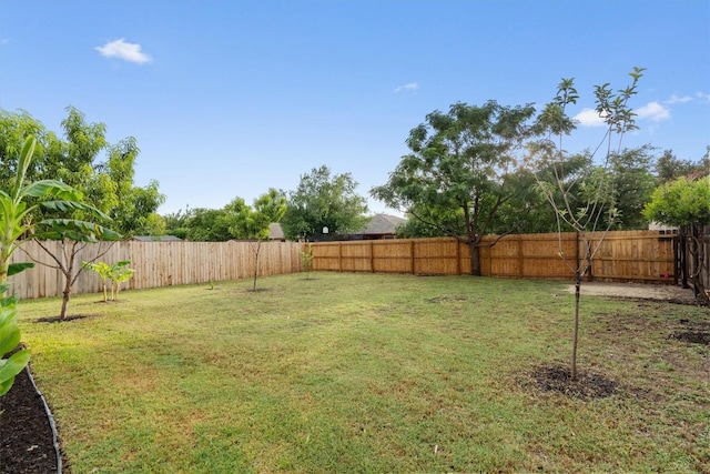 15532 Emmaleighs Ln, Pflugerville, TX 78660 - view of fenced backyard