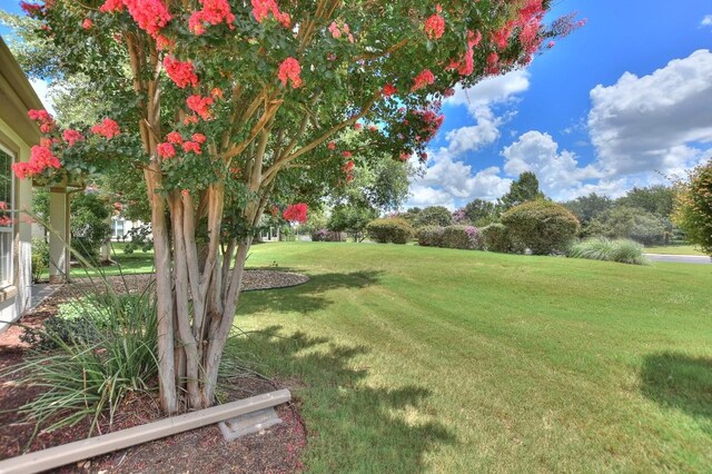 405 Crockett Loop, Georgetown, TX 78633 - photo 33